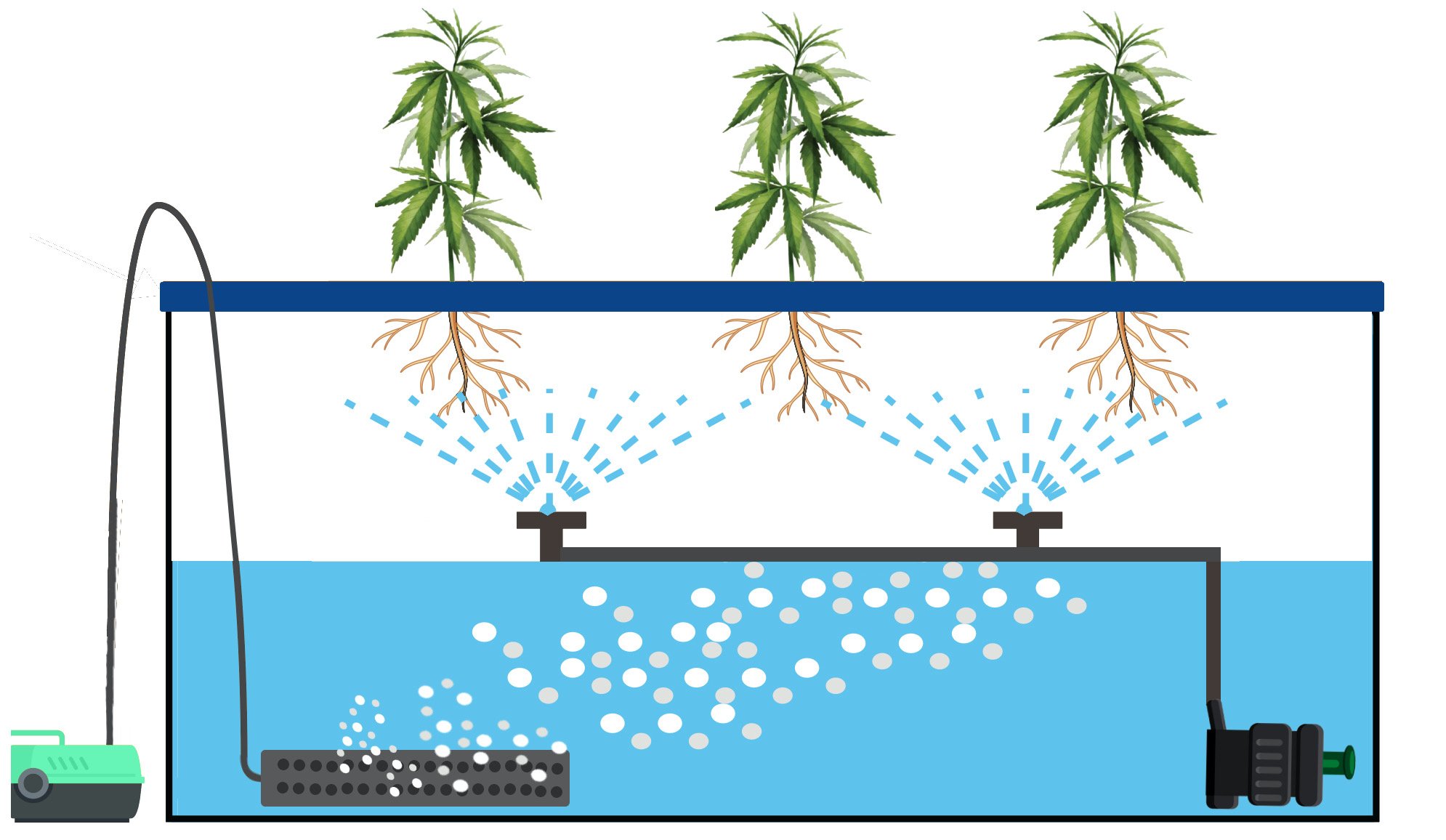 A Deep Dive into the Aeroponics Hydro System: The Future of Cannabis Cultivation - A Deep Dive into the Aeroponics Hydro System The Future