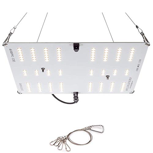 Best LED Grow Lights for Cannabis Clones and Seedlings 2023 - 1695359138 Best LED Grow Lights for Cannabis Clones and Seedlings 2023