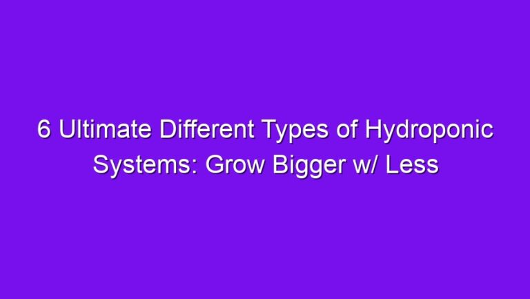 6 Ultimate Different Types of Hydroponic Systems: Grow Bigger w/ Less Water - 6 ultimate different types of hydroponic systems grow bigger w less water 2563