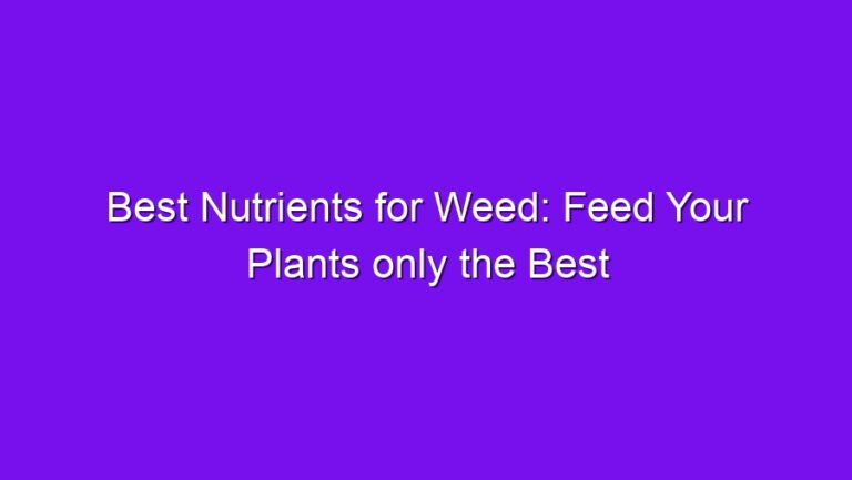 Best Nutrients for Weed: Feed Your Plants only the Best - best nutrients for weed feed your plants only the best 2606