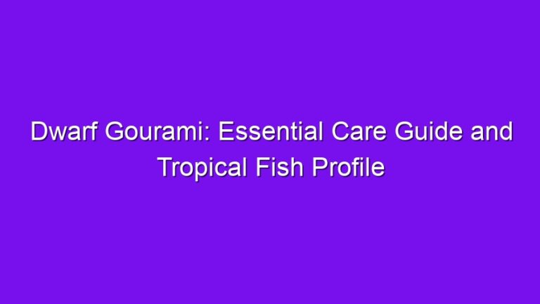 Dwarf Gourami: Essential Care Guide and Tropical Fish Profile - dwarf gourami essential care guide and tropical fish profile 2580