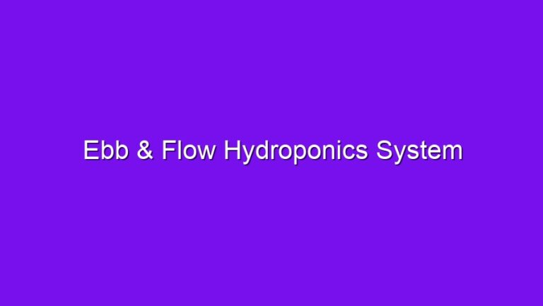 Ebb & Flow Hydroponics System - ebb flow hydroponics system 2497