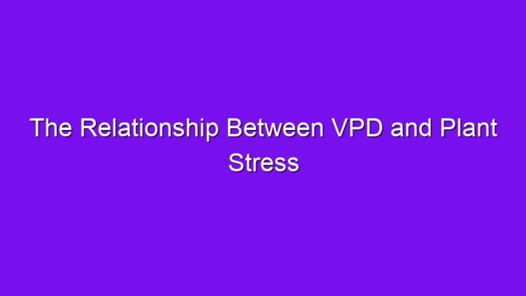 The Relationship Between VPD and Plant Stress - the relationship between vpd and plant stress 2683