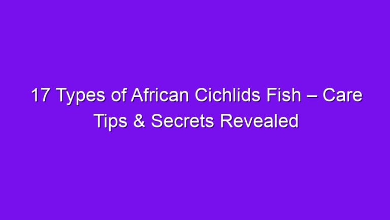 17 Types of African Cichlids Fish – Care Tips & Secrets Revealed - 17 types of african cichlids fish care tips secrets revealed 2736