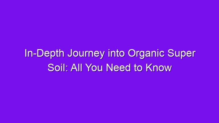 In-Depth Journey into Organic Super Soil: All You Need to Know - in depth journey into organic super soil all you need to know 2767