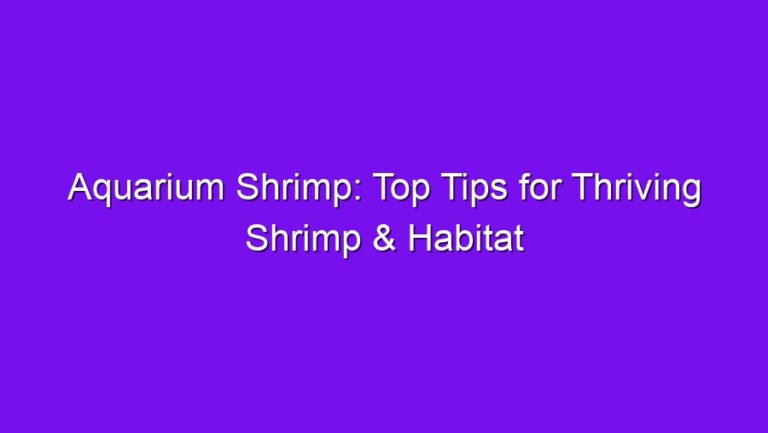 Aquarium Shrimp: Top Tips for Thriving Shrimp & Habitat - aquarium shrimp top tips for thriving shrimp habitat 2775