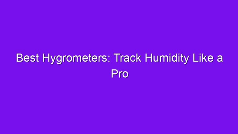 Best Hygrometers: Track Humidity Like a Pro - best hygrometers track humidity like a pro 2777