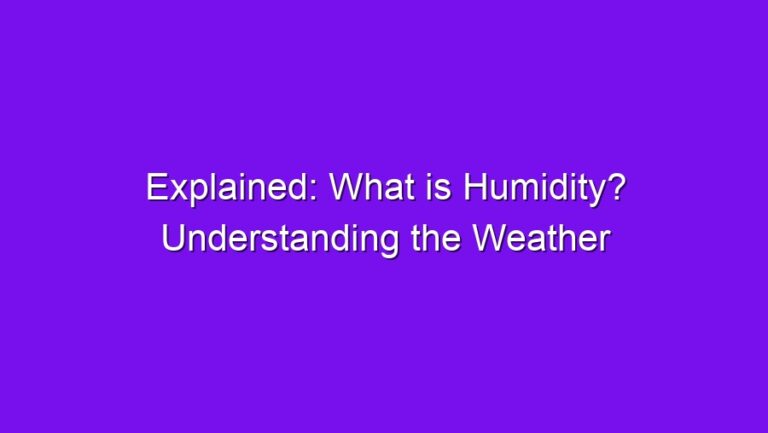 Explained: What is Humidity? Understanding the Weather - explained what is humidity understanding the weather 2773