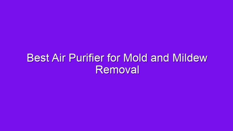 Best Air Purifier for Mold and Mildew Removal - best air purifier for mold and mildew removal 2809