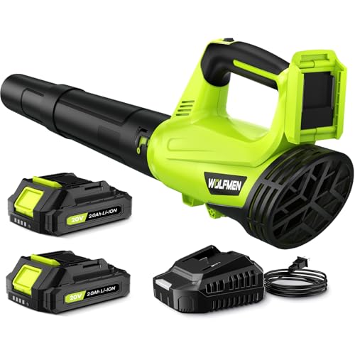 Best Cordless Leaf Blowers of 2026: CFM, Runtime & Noise Tested 1 Best Cordless Leaf Blowers of 2026: CFM, Runtime & Noise Tested - 1785662916 Best Cordless Leaf Blowers of 2026 CFM Runtime Noise